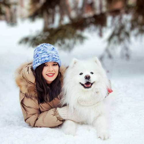Photo #13260806