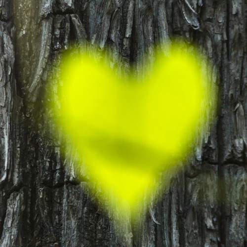 Photo #13260887