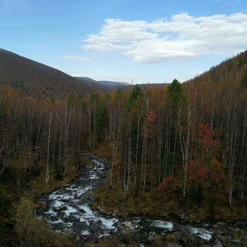Photo #13260894