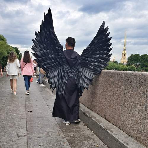 Photo #13260971