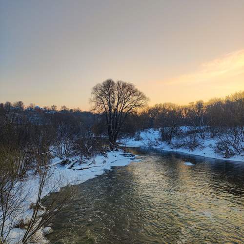 Photo #13260976