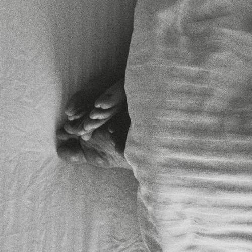 Фотография #13261147