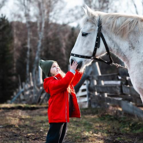 Photo #13261473