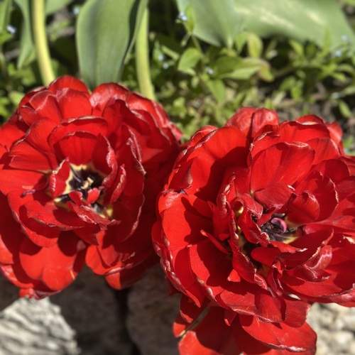 Фотография #13261506