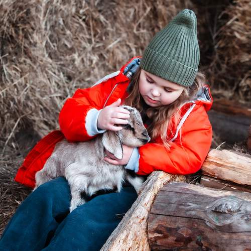 Photo #13261621