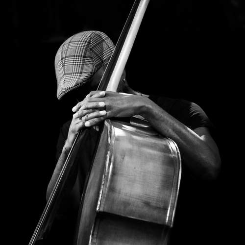 Brad Jones at the Belgrade Jazz Festival 2025