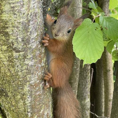 Photo #13261773
