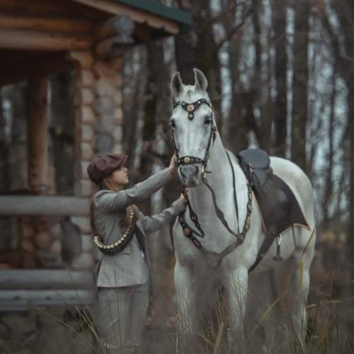 Фотография #13261935