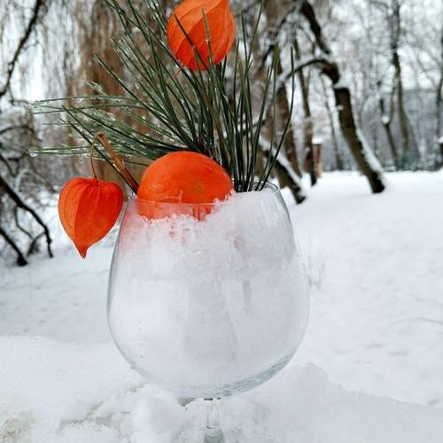 Photo #13261968