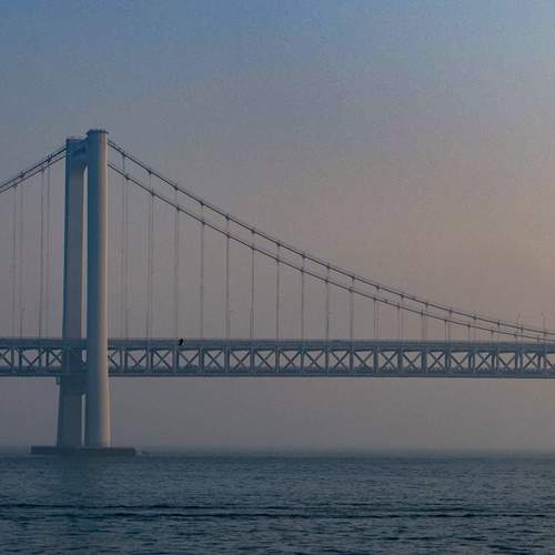 Photo #13262109