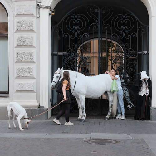 Photo #13262164