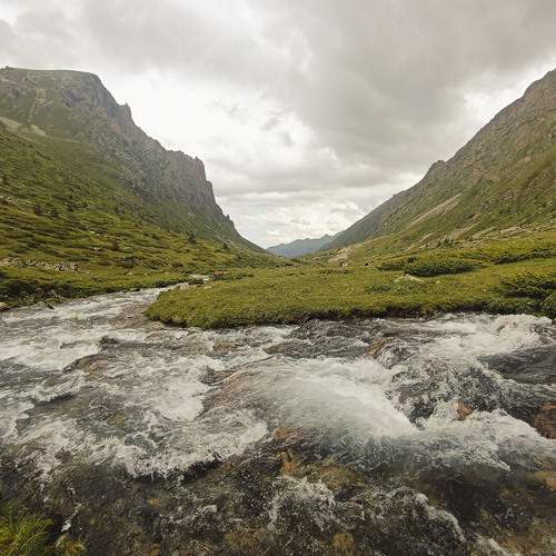 Photo #13262281