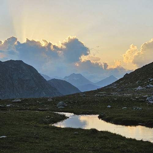 Photo #13262283