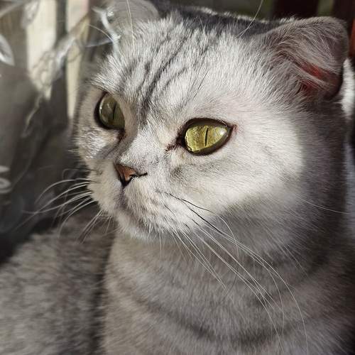 Photo #13262432