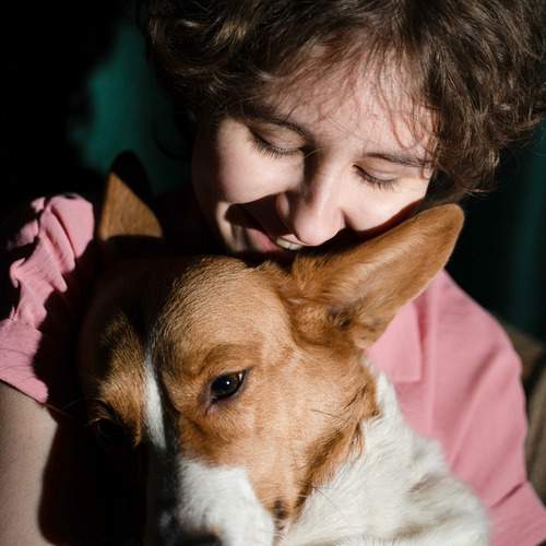 Photo #13262464
