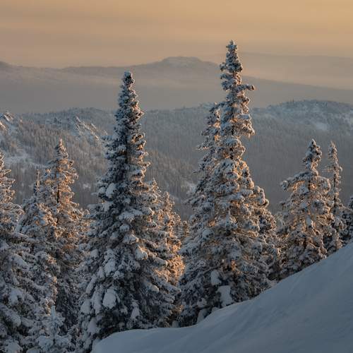 Фотография #13262561