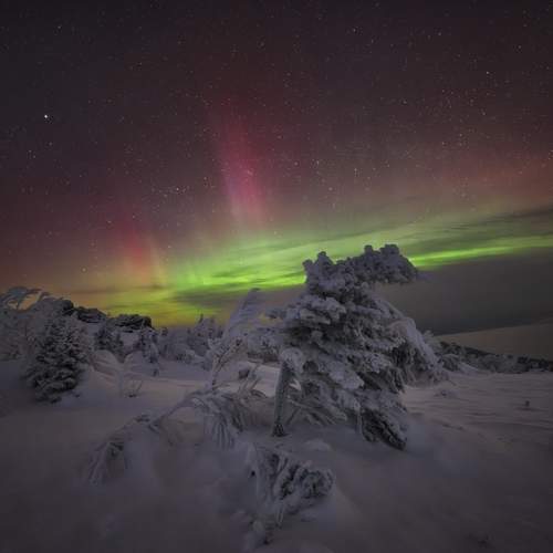 Фотография #13262582