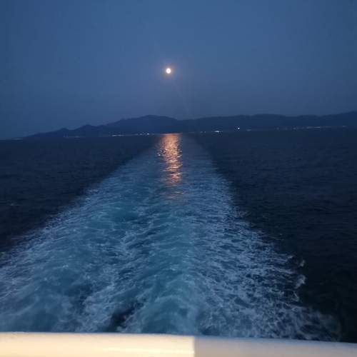 Photo #13262619