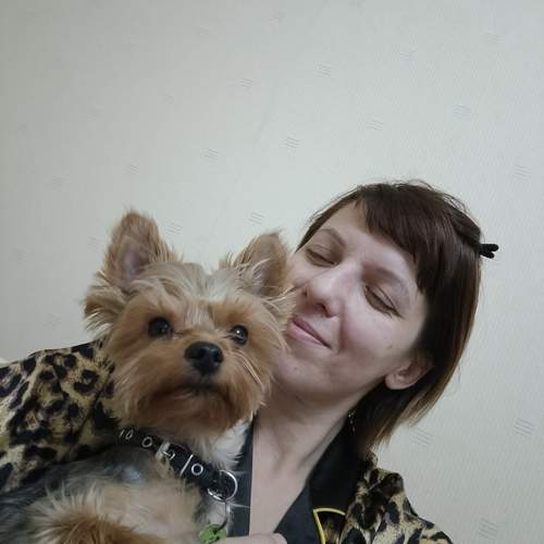 Photo #13262637