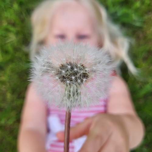 Photo #13262792