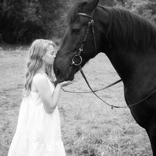 Фотография #13262883