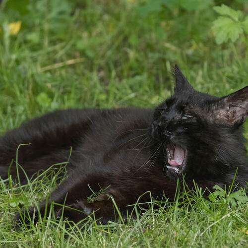 Photo #13262895