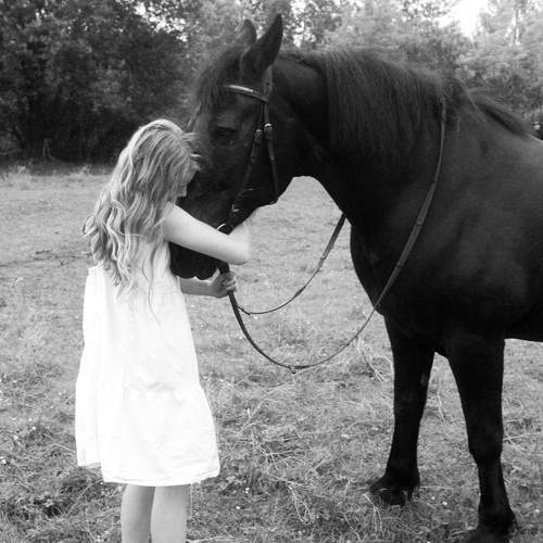 Фотография #13262917