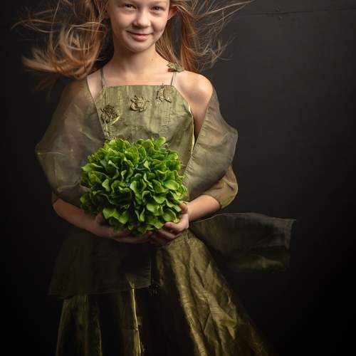 Дары лесного эльфа