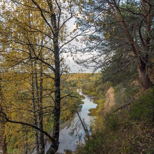 Photo #13263099