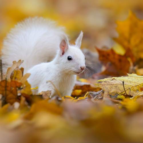 Photo #13263201