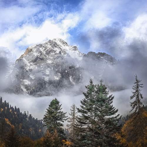 Фотография #13263628