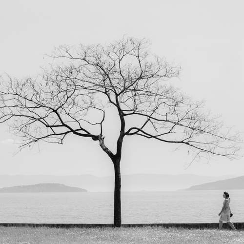 Фотография #13263657