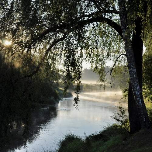 Фотография #13263832