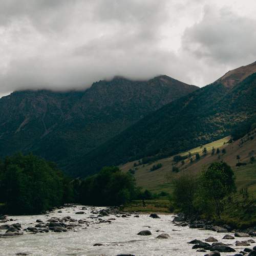 Photo #13263856