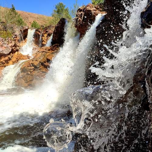 Photo #13263904