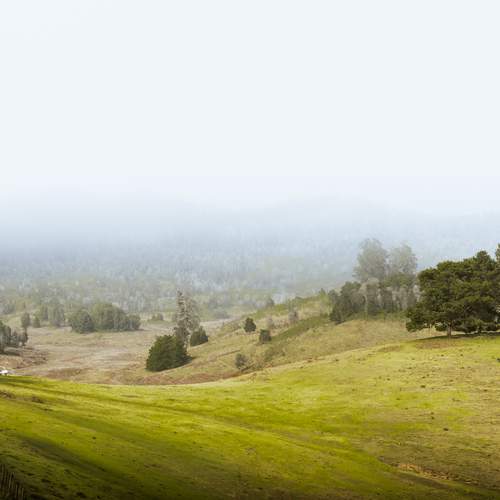 Photo #13263937