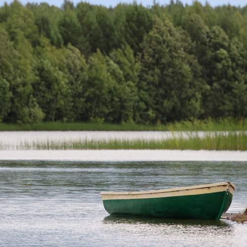 Photo #13263953