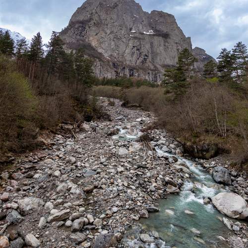 Photo #13263989