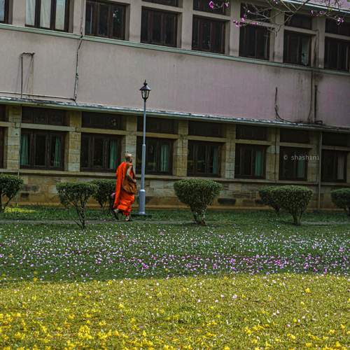 Photo #13264053