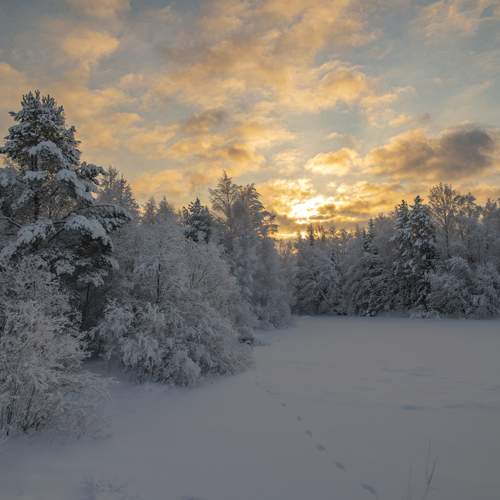Photo #13264111