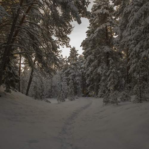 Photo #13264112