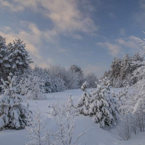 Photo #13264113