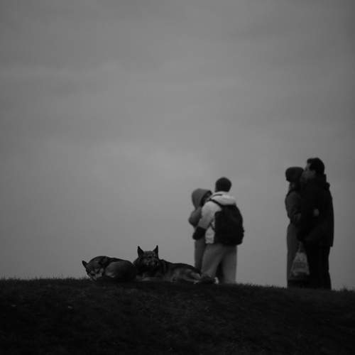 Photo #13264128