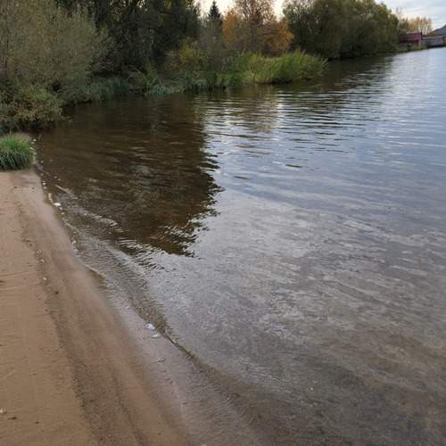 Photo #13264150