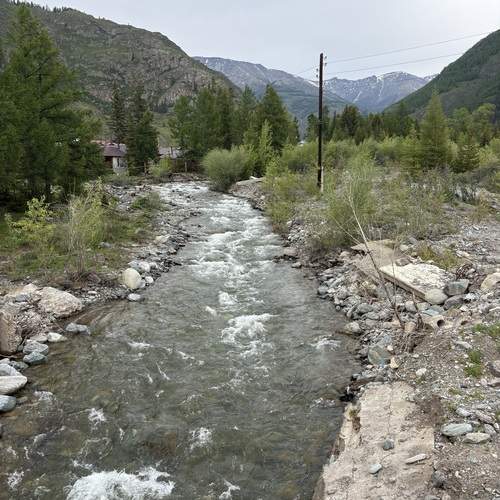 Photo #13264190