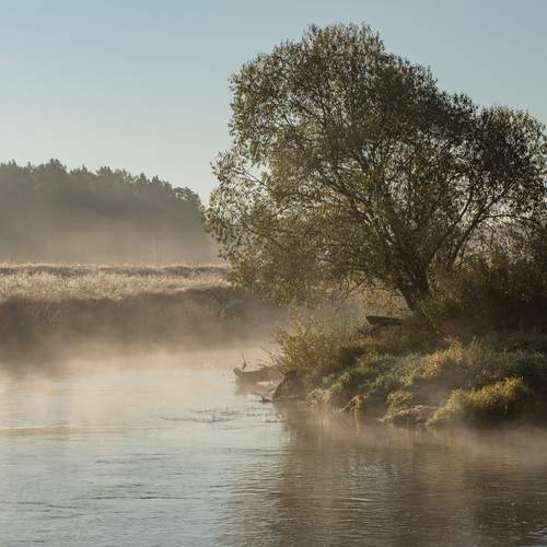 Photo #13264213