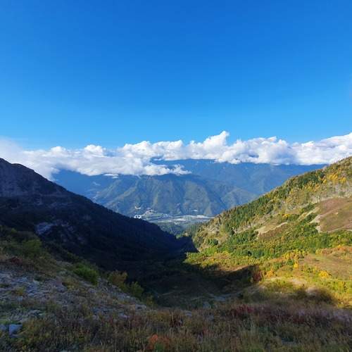 Photo #13264292