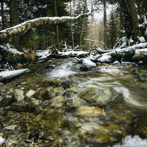 Photo #13264381