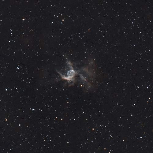 Photo #13264429