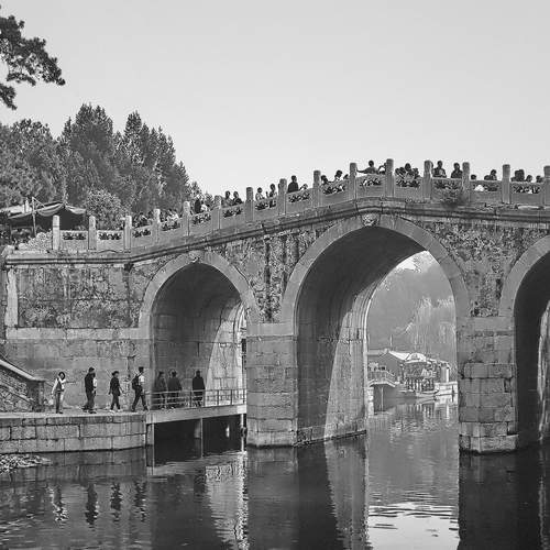 Photo #13264464